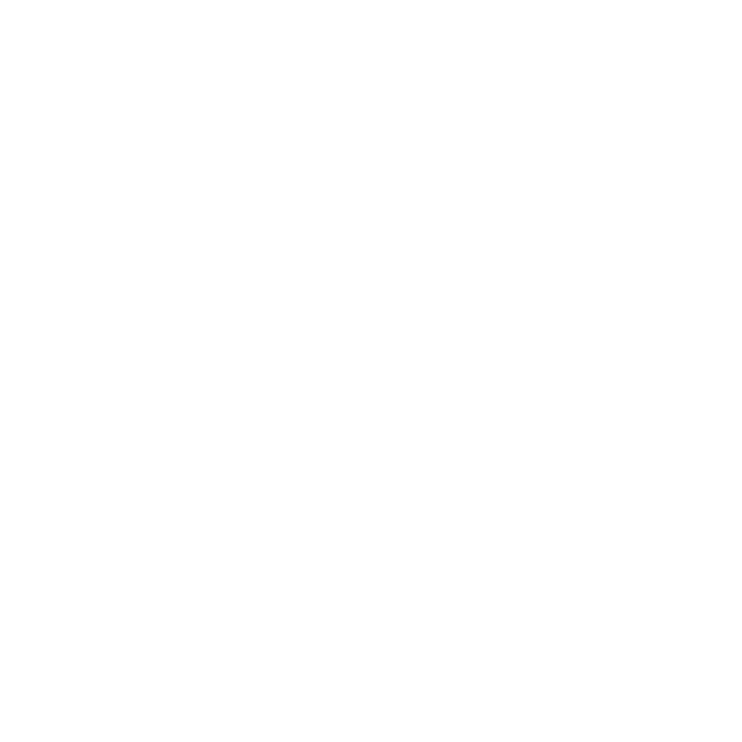 PepsiCo